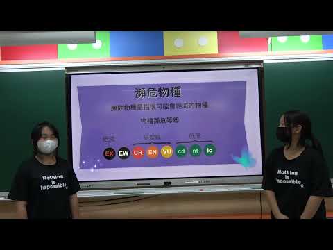 113桃園資訊競賽-埔心國小簡報乙組(劉子晴、游語彤)